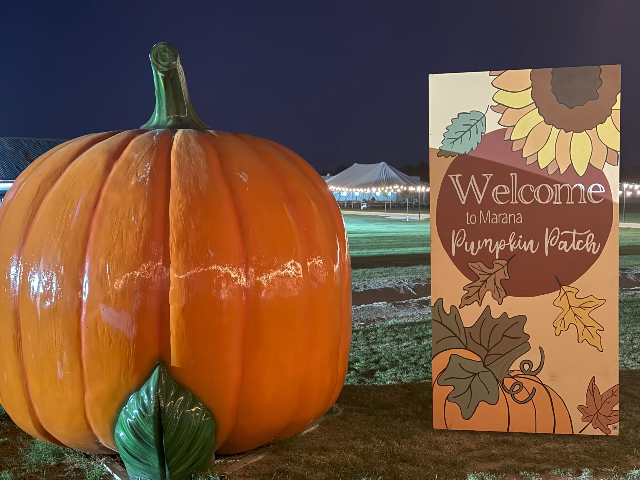 Fall Activities in Marana