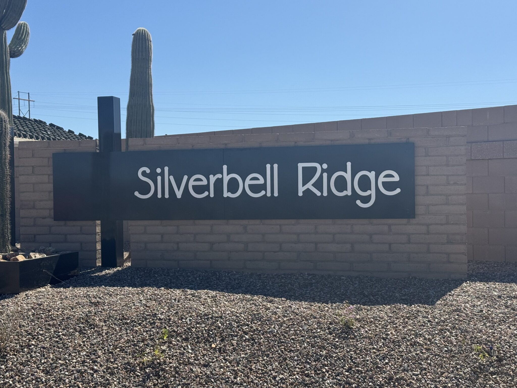 Silverbell Ridge